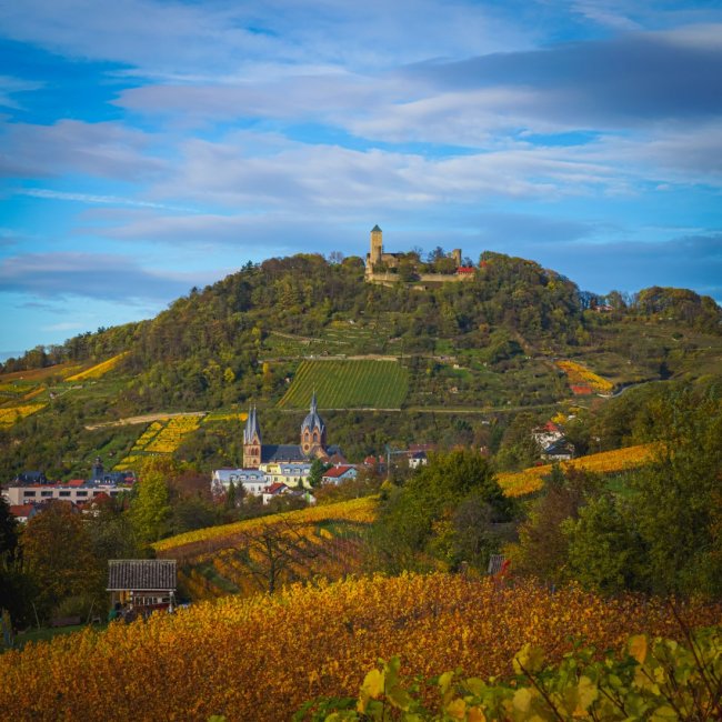 Heppenheim Weinberge und Starkenburg